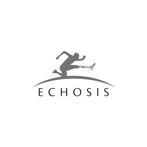 Echosis2 - SETORIAL BI